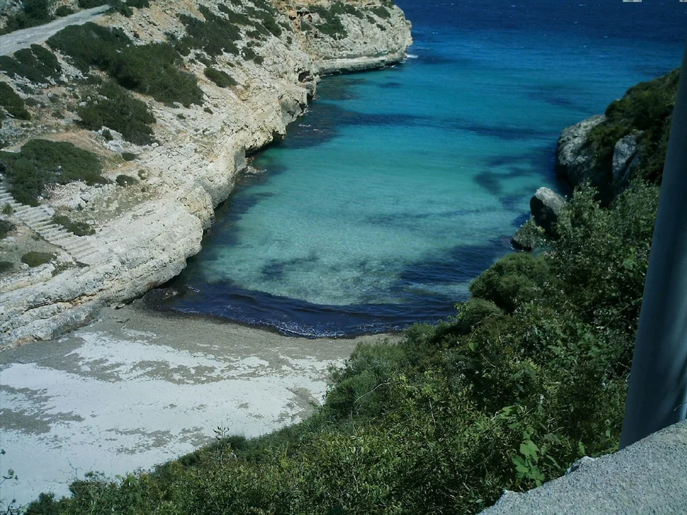 Calita